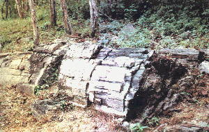 Bosque Fosil De Puyango Ecuador Bosque Petrificado