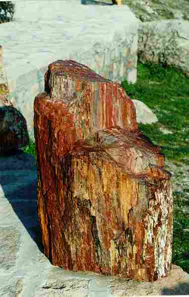 Caranceja  - Cantabria -