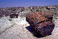 Petriffied Forest Nat. Park. - Arizona -