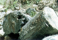 Puyango - Ecuador -